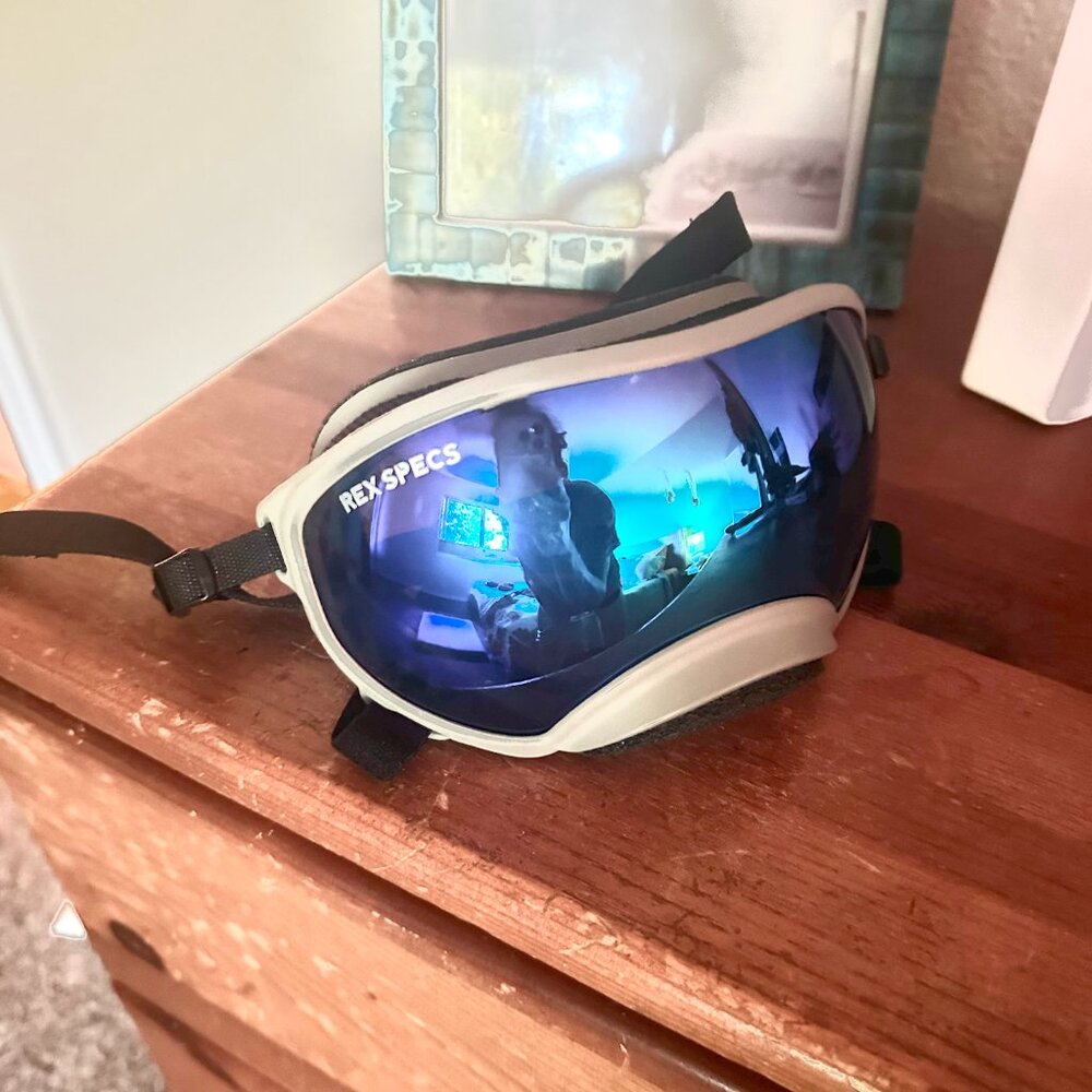 Rex specs - Doggles - Coyote